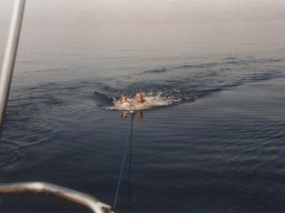 Törn 1997